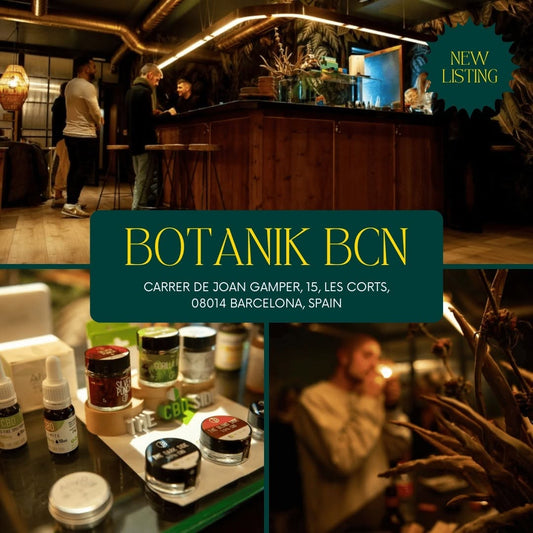 Botanik BCN – Barcelona’s Top Private Social Club Experience