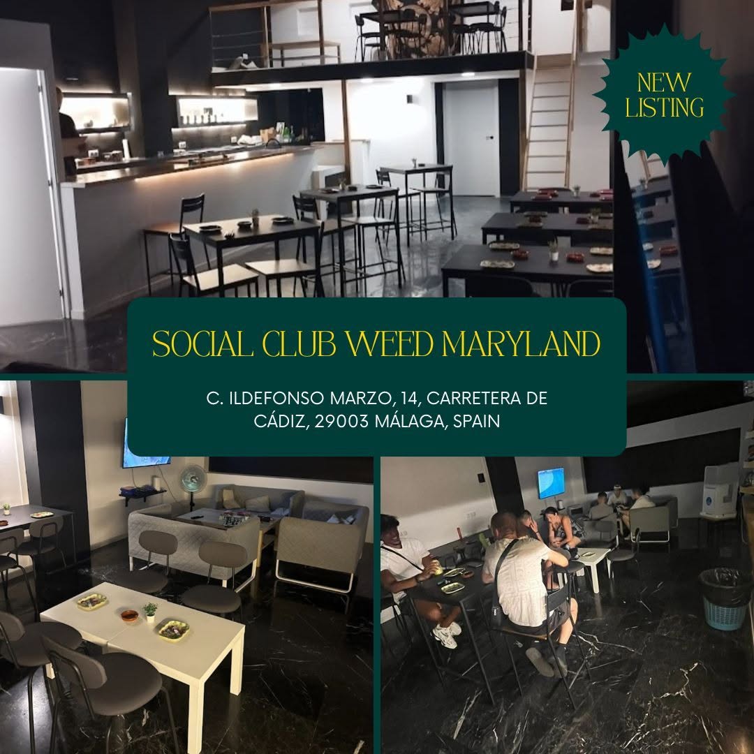 Social Club Maryland – Málaga’s Premier Private Social Spot